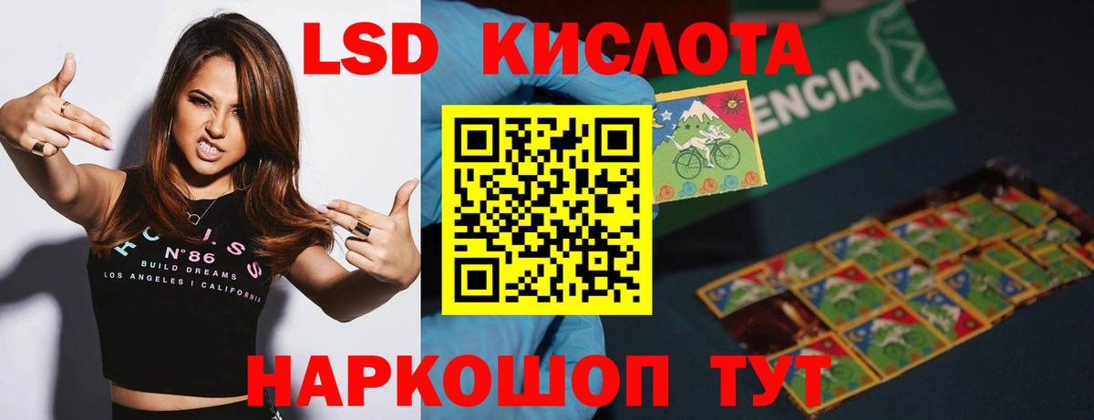 Псилоцибиновые грибы Холмск