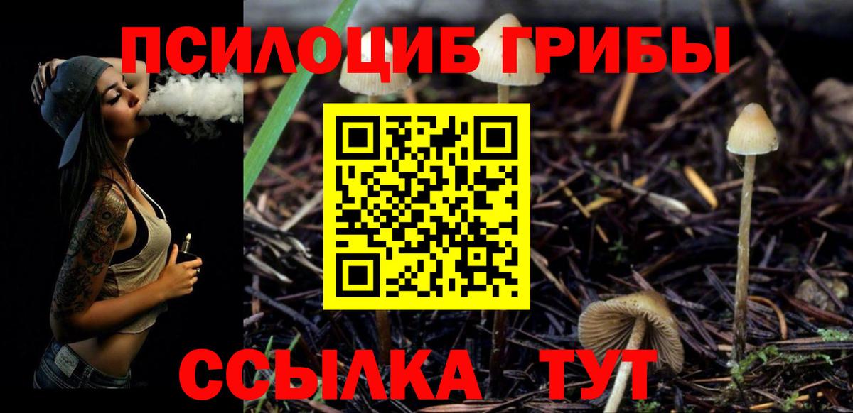 Псилоцибиновые грибы мицелий Холмск